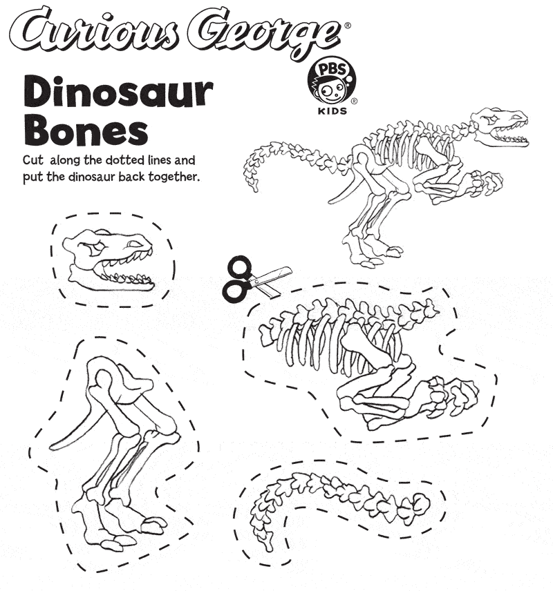 Dinosaur Bones