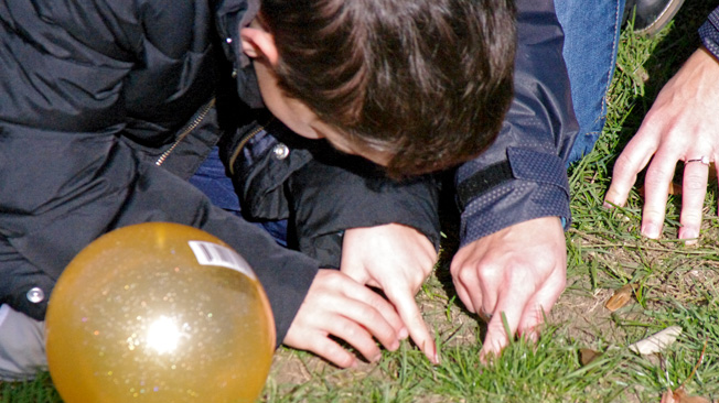 Boy and parent examine
grass