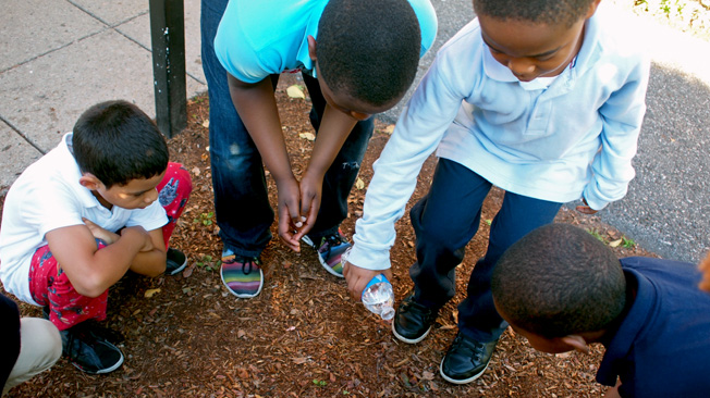 Kids pour water on soil
