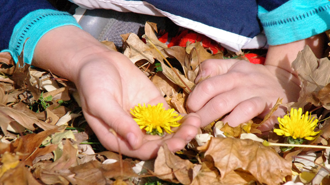Boy holding yellow flower