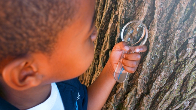 Boy looks at tree bark with lens