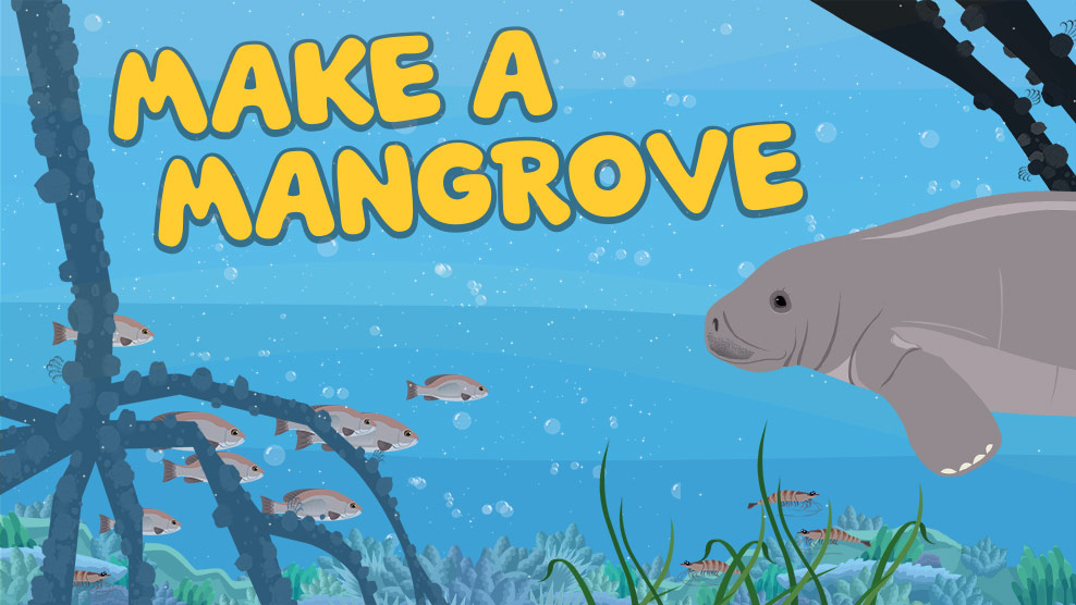 Make a Mangrove