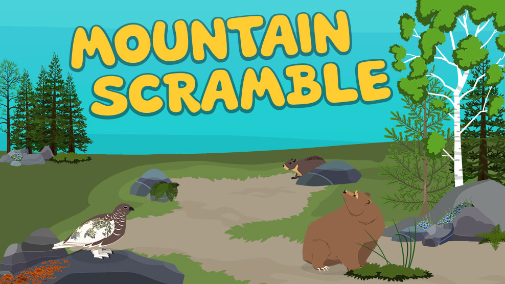 Mountain Scramble