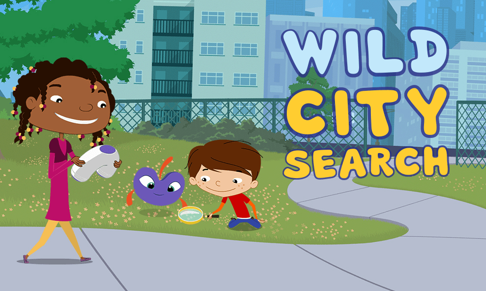 Wild City Search