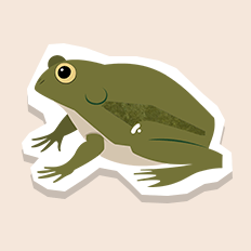 waterfrog