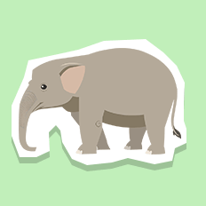 pygmyelephant