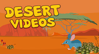 Desert Videos